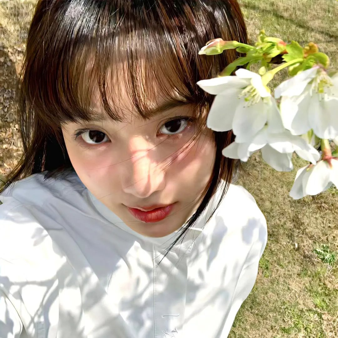 完美逃婚法则